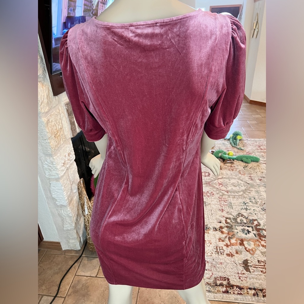 Forever 21+ Velvet Dress - Picture 5 of 8